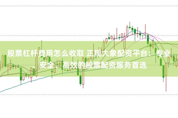 股票杠杆费用怎么收取 正规大象配资平台：专业、安全、高效的股票配资服务首选
