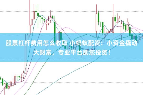 股票杠杆费用怎么收取 小蚂蚁配资：小资金撬动大财富，专业平台助您投资！