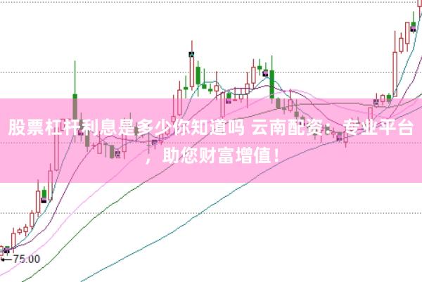 股票杠杆利息是多少你知道吗 云南配资：专业平台，助您财富增值！
