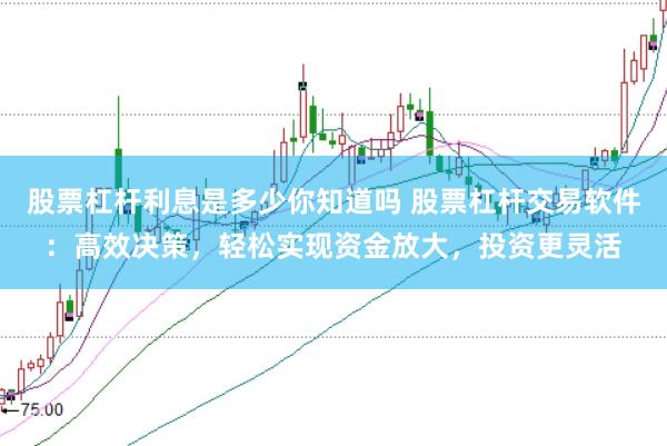 股票杠杆利息是多少你知道吗 股票杠杆交易软件：高效决策，轻松实现资金放大，投资更灵活