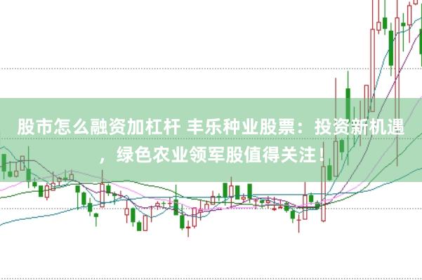 股市怎么融资加杠杆 丰乐种业股票：投资新机遇，绿色农业领军股值得关注！