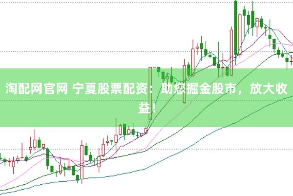淘配网官网 宁夏股票配资：助您掘金股市，放大收益！