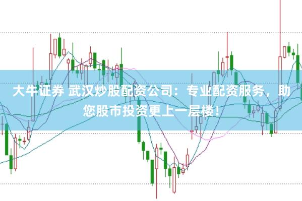 大牛证券 武汉炒股配资公司：专业配资服务，助您股市投资更上一层楼！