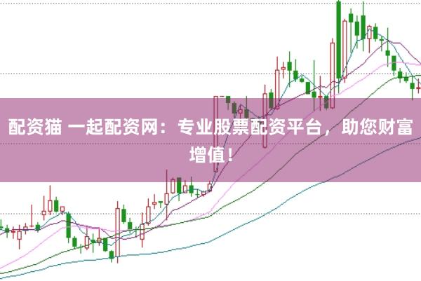 配资猫 一起配资网：专业股票配资平台，助您财富增值！