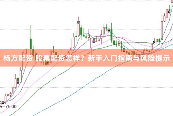 杨方配资 股票配资怎样？新手入门指南与风险提示
