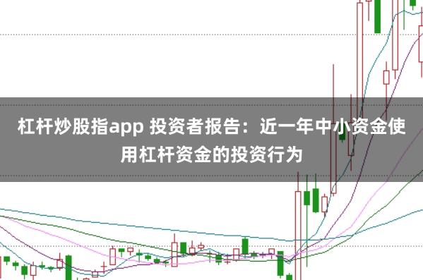杠杆炒股指app 投资者报告：近一年中小资金使用杠杆资金的投资行为