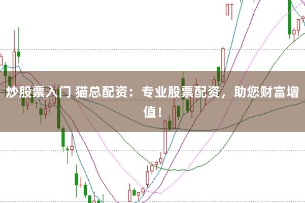 炒股票入门 猫总配资：专业股票配资，助您财富增值！