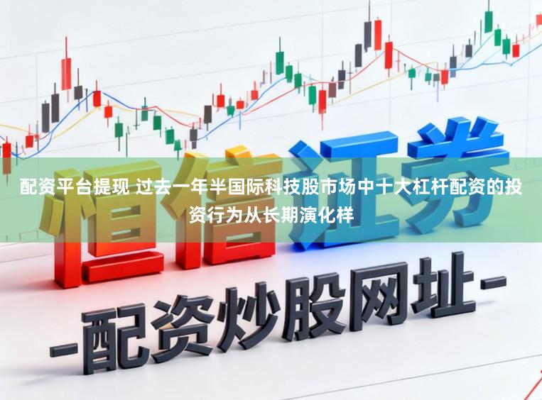 配资平台提现 过去一年半国际科技股市场中十大杠杆配资的投资行为从长期演化样